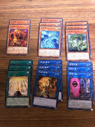 Yu-Gi-Oh Cards TENUI Set 1枚