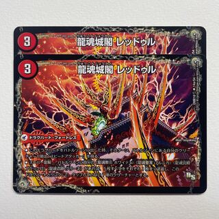 Ryukonjokaku Reduru｜Kyokushin Ryukon All Over the World (bottom) x 2