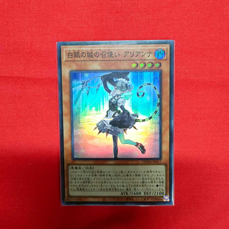 Arianna, the servant of the White Silver Castle