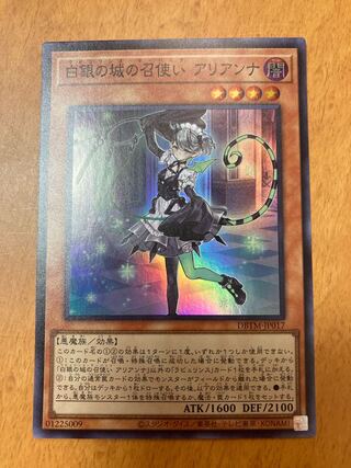 Arianna, the servant of the White Silver Castle