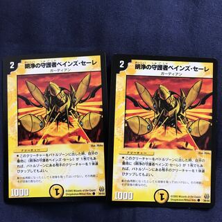 Baines Saille, Guardian of the Bright and Pure