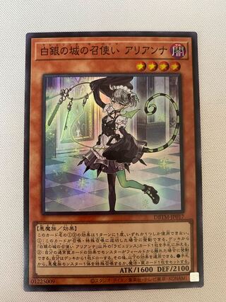Arianna, servant of the White Silver Castle 1 piece