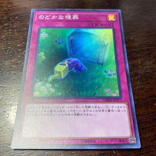 遊戯王　のどかな埋葬