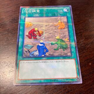 遊戯王　化石調査