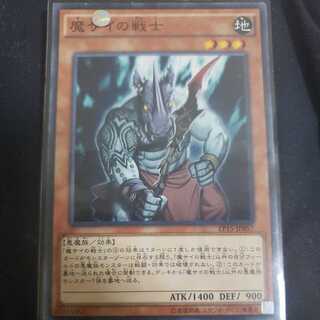 Fiendish Rhino Warrior Normal