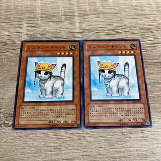 Yu-Gi-Oh Rescue Cat