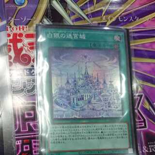 Labyrinth Castle of White and Silver