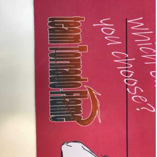 ジンバッタプレイマット・トルネードフレームオリジナル 60×35cm