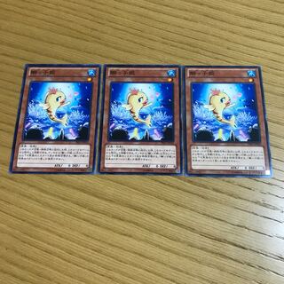 Beautunaful Princess Buzzsaw Shark Set of 3