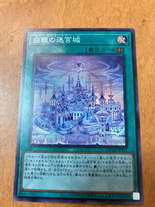 Labyrinth Castle of White and Silver