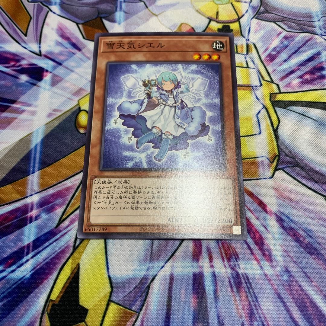 The Weather Painter Snow