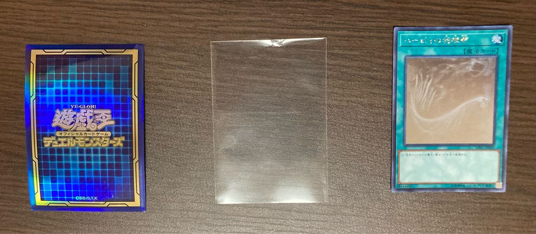 Harpie's Feather Duster holographic rare