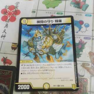 The Forceful Checkpoint's Protection Terra