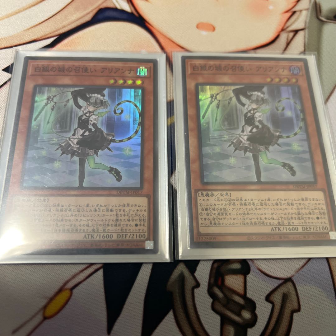 Arianna, the servant of the White Silver Castle