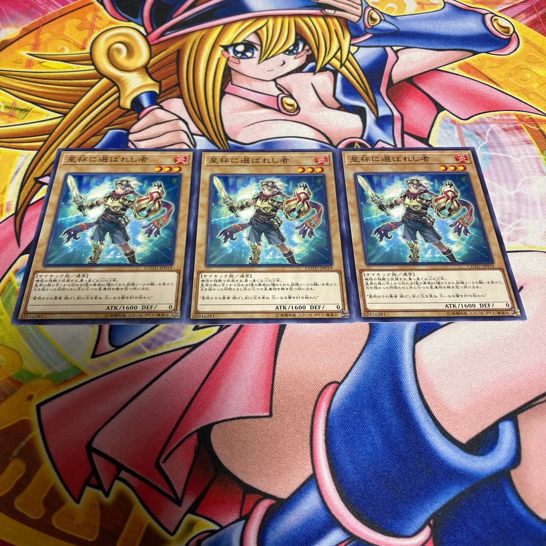 Chosen by the World Chalice