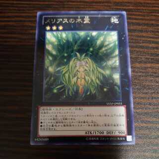 メリアスの木霊 レア