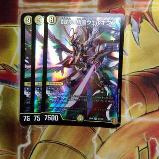 闘門の精霊ウェルキウス　3枚