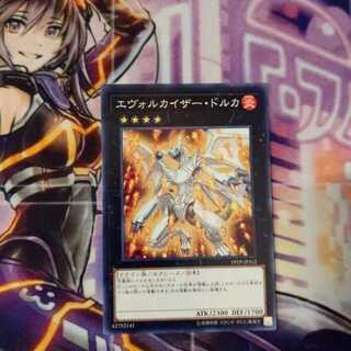 Evolzar Dolkka Normal