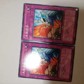 異種闘争　２枚