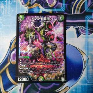 ドマンモ龍樹 SR