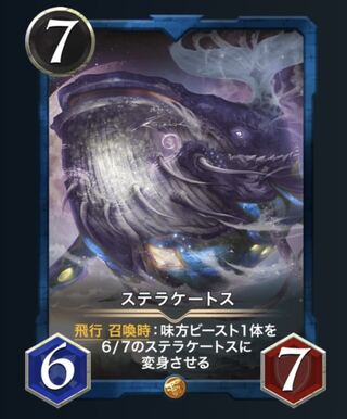 めが様専用（2枚）ステラケートス