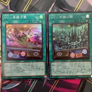 VV Field Set