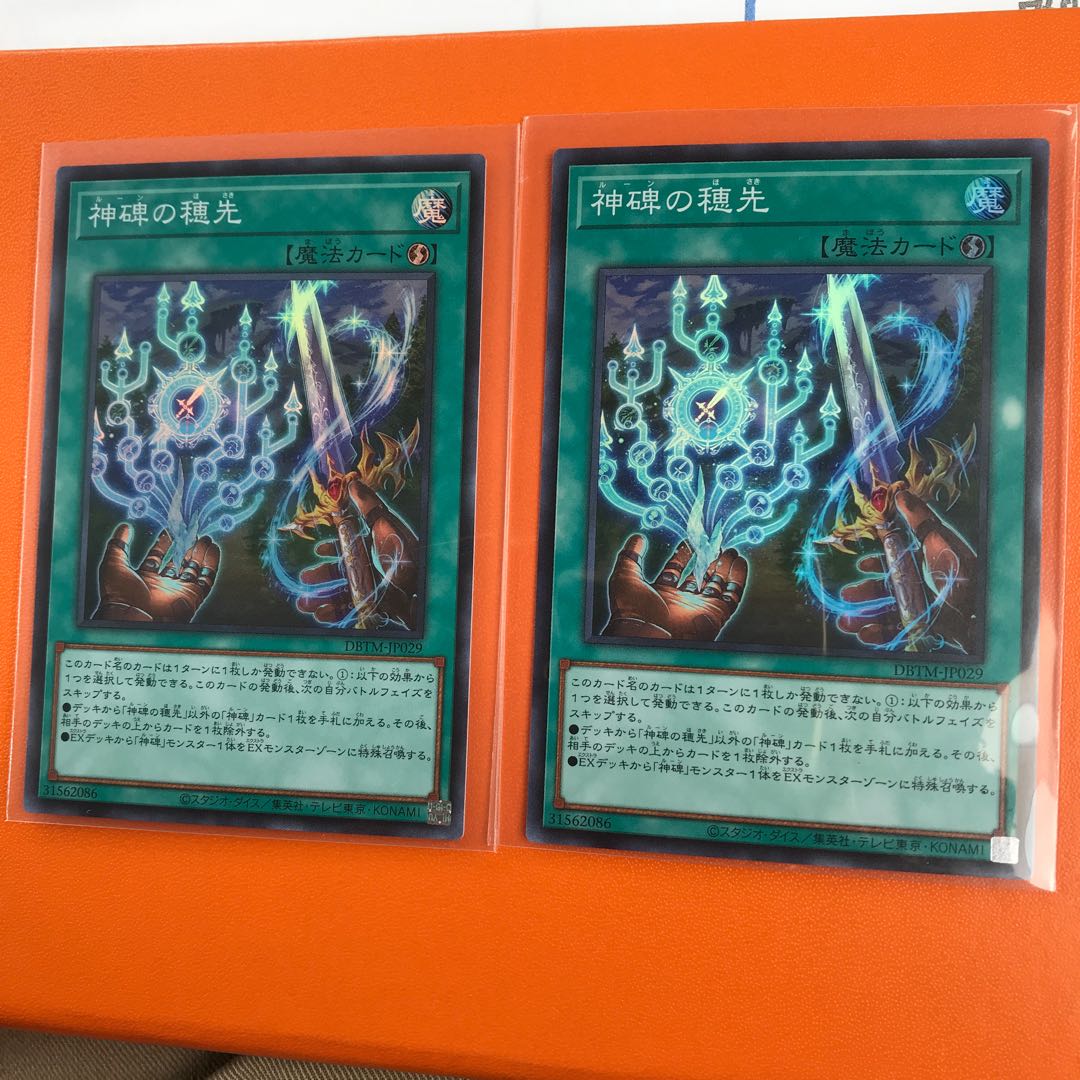 SR 2 pieces of scion of divine monument