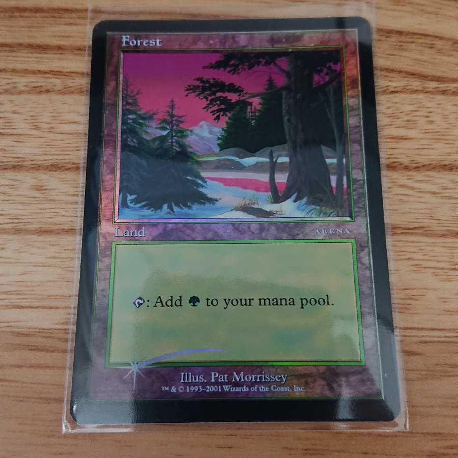 森 foil アリーナ 2001年 ICE