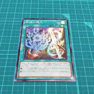 Ears of the divine monument (1 piece)