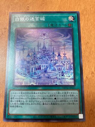 Labyrinth Castle of White and Silver