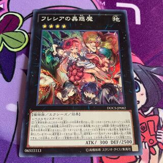 Traptrix Rafflesia Super Rare