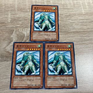 Yu-Gi-Oh Raiza the Storm Monarch