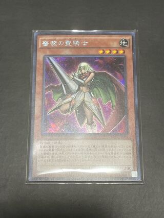 Yu-Gi-Oh! Rose Paladin SE