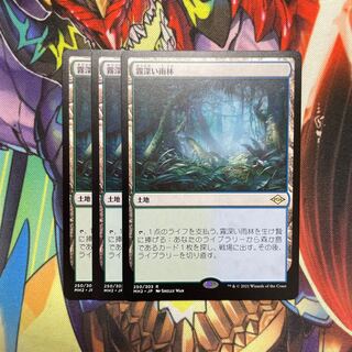 Misty Rainforest 3 sheets