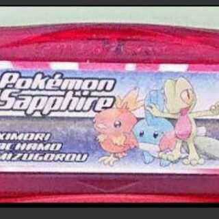 386種類入りポケモンルビー＋j-m23-忍者のピアス