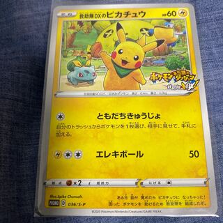 Pikachu in Rescue Team DX