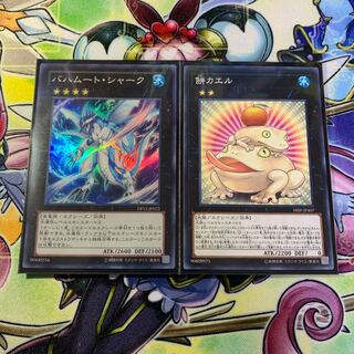 バハムートシャーク＆餅カエルセット