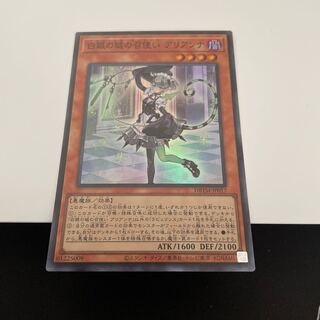 Arianna, the servant of the White Silver Castle