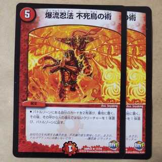 Bakuryu Ninpo Phoenix Technique 2 pieces