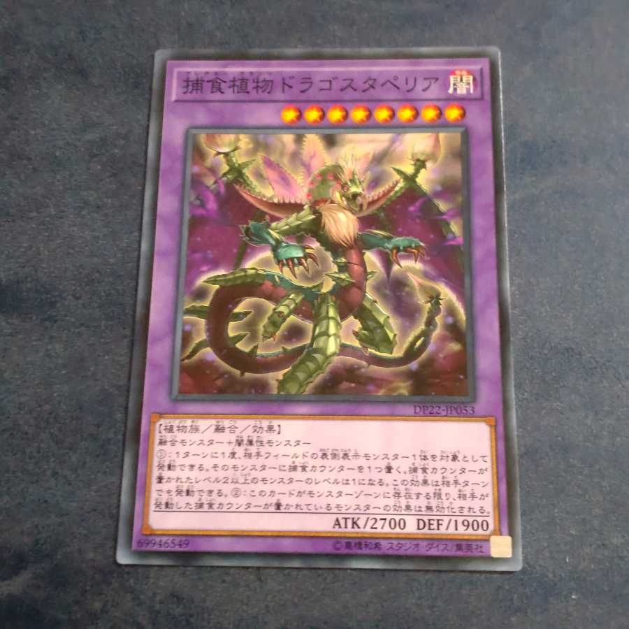 Predaplant Dragostapelia Normal [Mokurindo