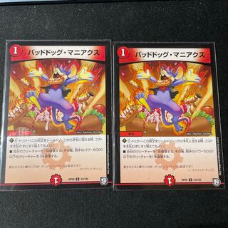 Dangerous Dog Maniacs 2 pieces