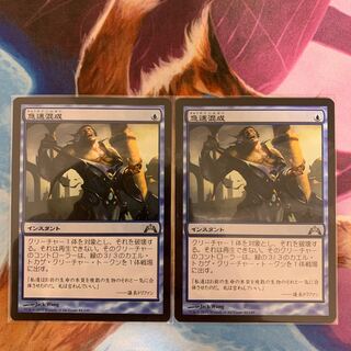 Rapid Hybridization Japanese 2 copies