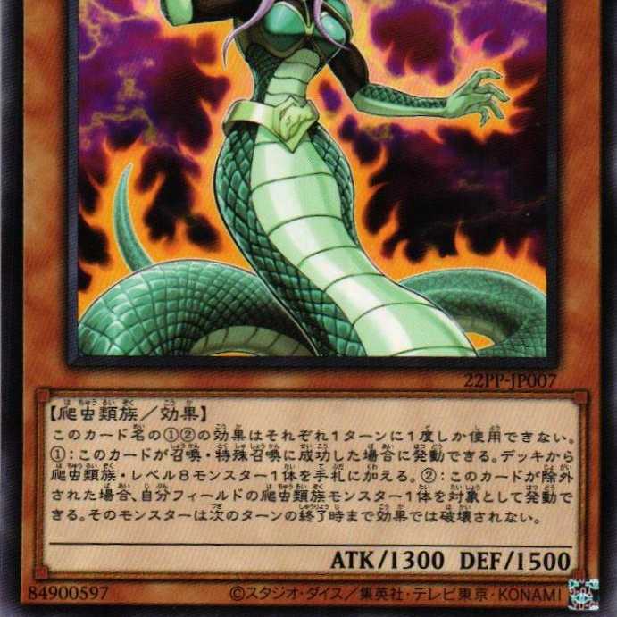 22PP-JP007 Lamia N 3 copies