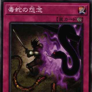 22PP-JP008 The Grudge of the Viper N 3 copies