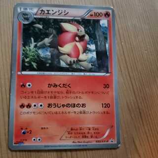 カエンジシ　プロモ