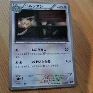 ペルシアン　20周年