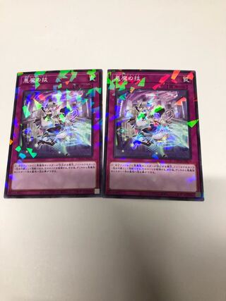 Darkness Demon Technique Parallel Normal 2-card set