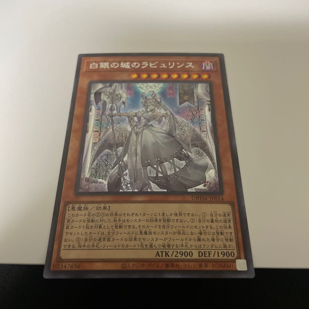 白銀の城のラビュリンス