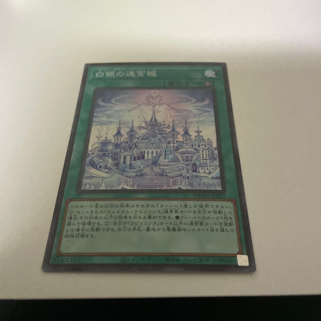 Labyrinth Castle of White and Silver