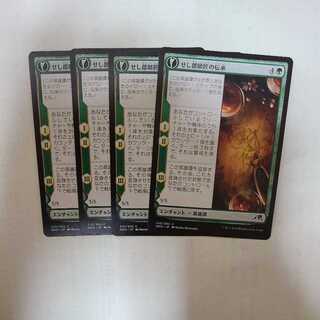 Master Seshiro's Lore Common